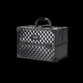 RUDE Mini Makeup Case by VYSN