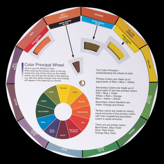 Soft 'N Style Color Wheel by Beauty Supply 123 Outlet