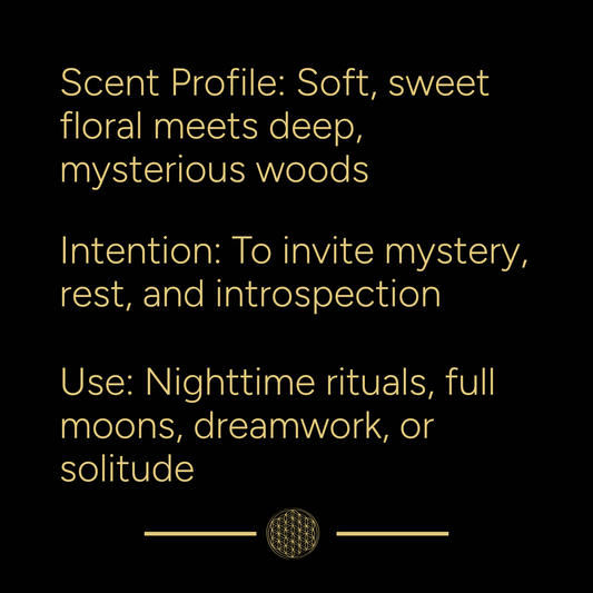 Moonlit Hollow Everyday Ritual Mist | 4oz