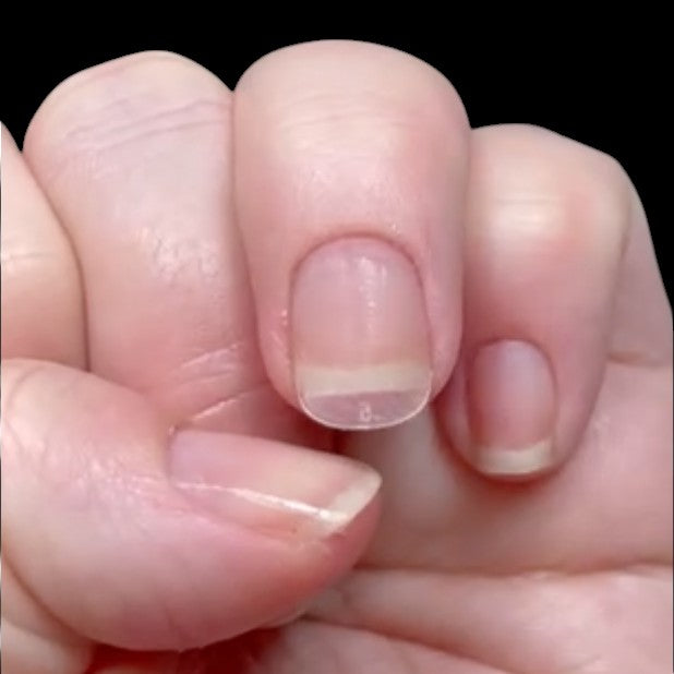 Short Squoval Quick Gel Tips by Painted Desert