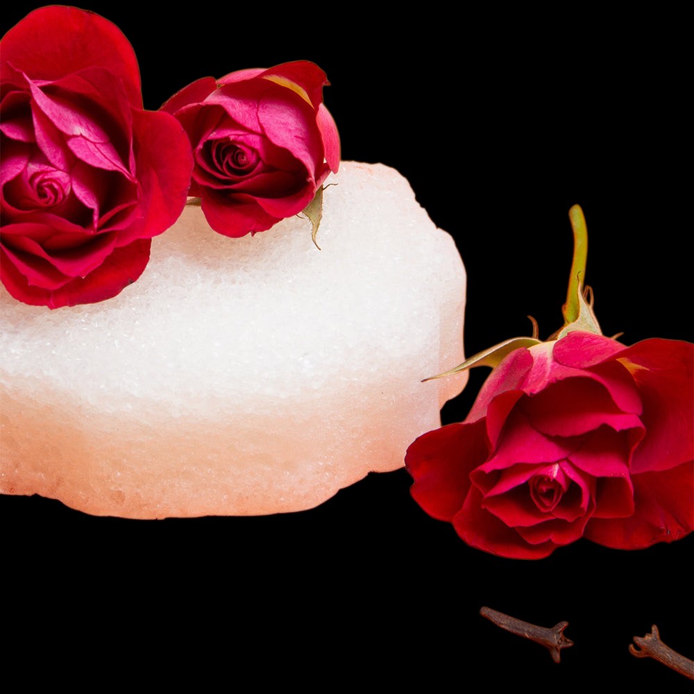 Bulgarian Rose | Pedi Buffer by Spongellé