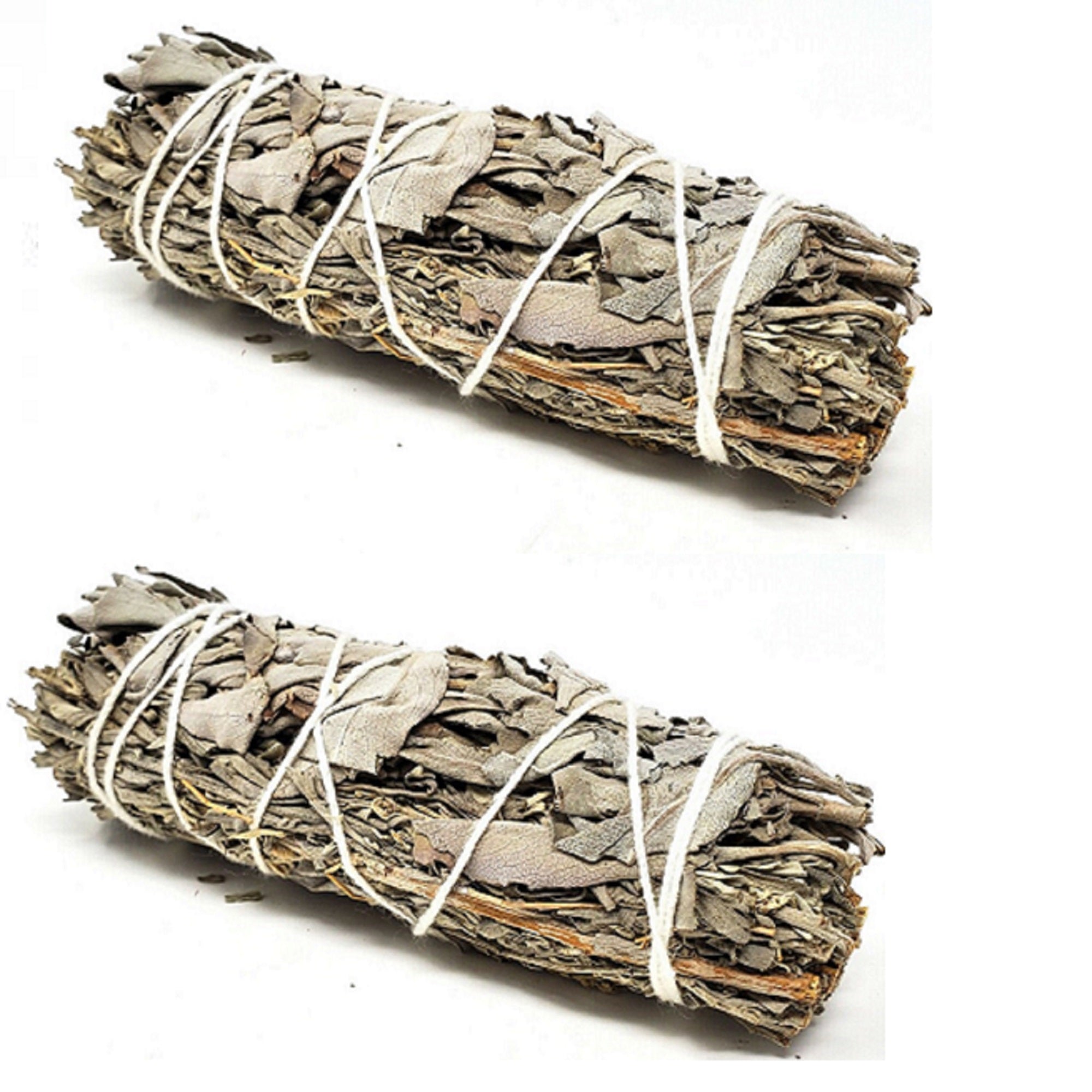 White Sage & Blue Sage Smudge Stick 3-4" - 2 PACK Bundle by OMSutra by VYSN