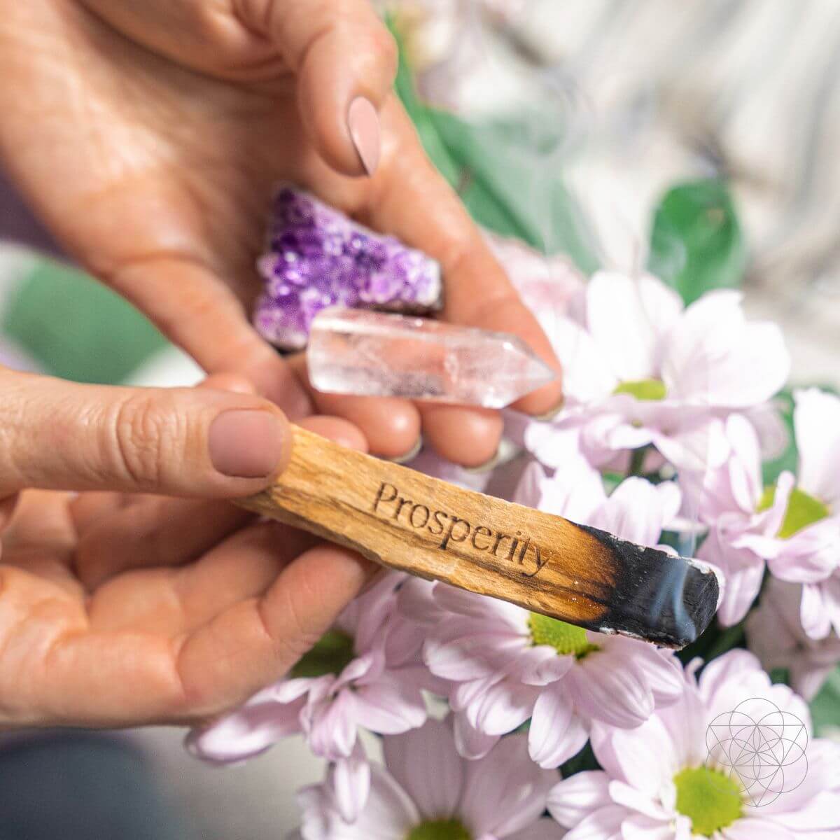 Attract Abundance - Premium Manifestation Smudge Kit (8 Pieces) by Conscious Items