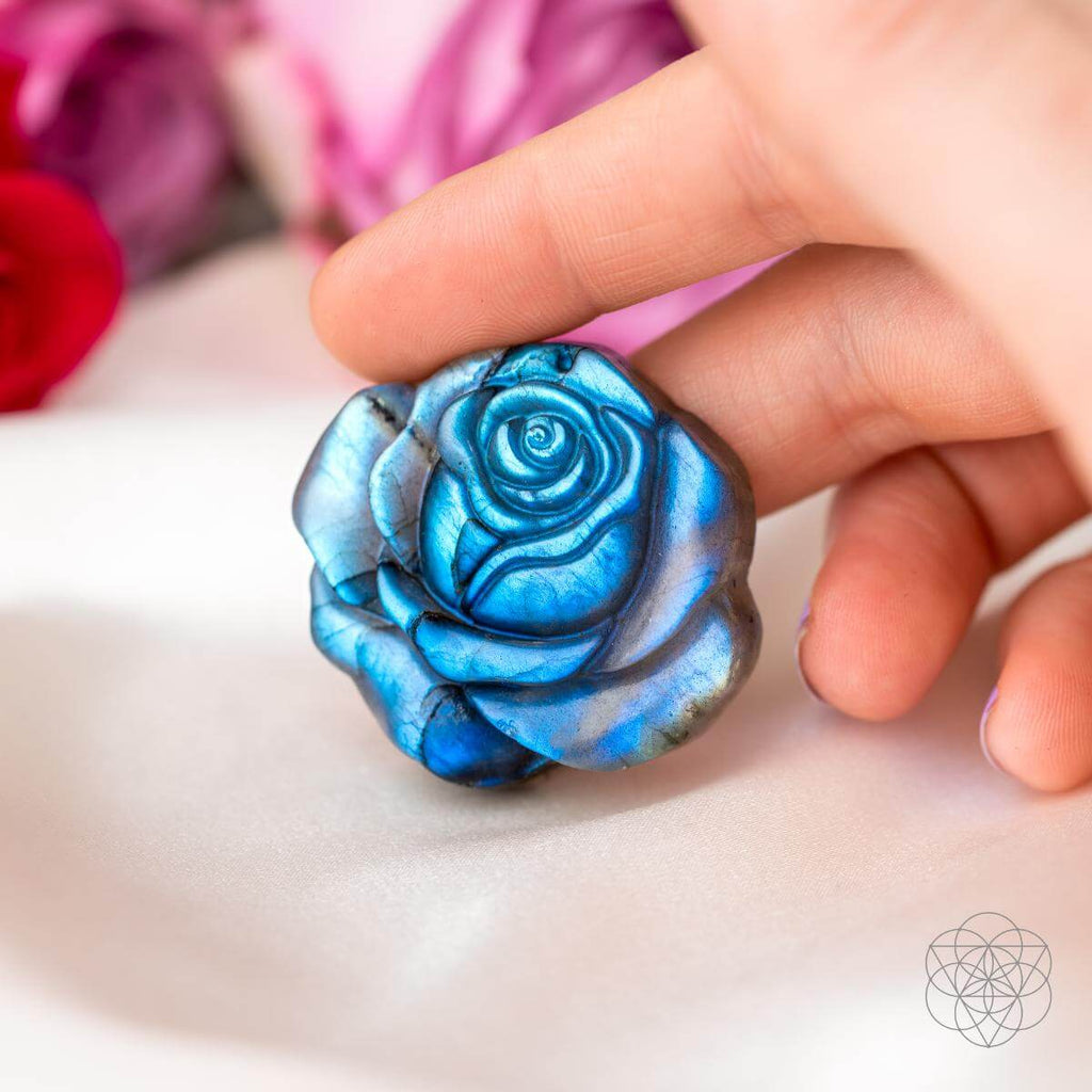 Beautifully Unique - Blossoming Rose of Singularity by Conscious Items