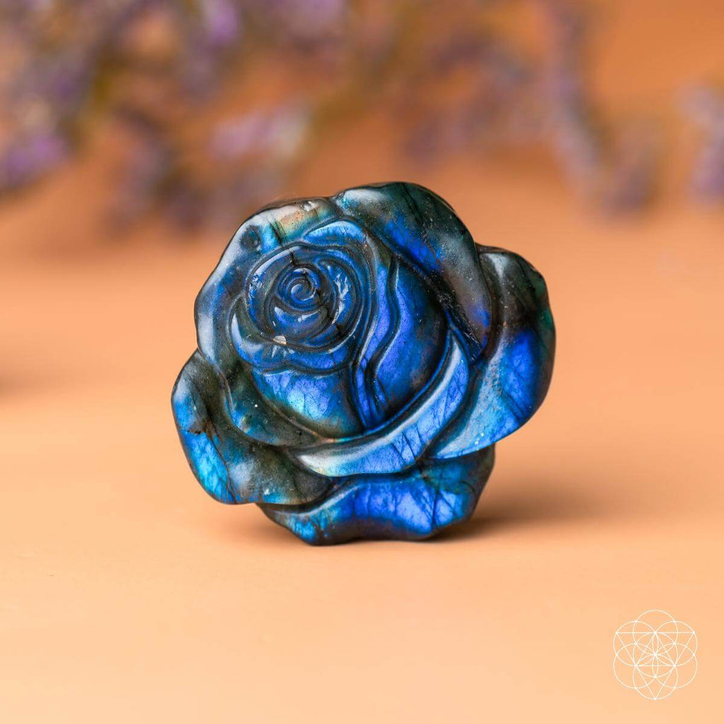 Beautifully Unique - Blossoming Rose of Singularity by Conscious Items