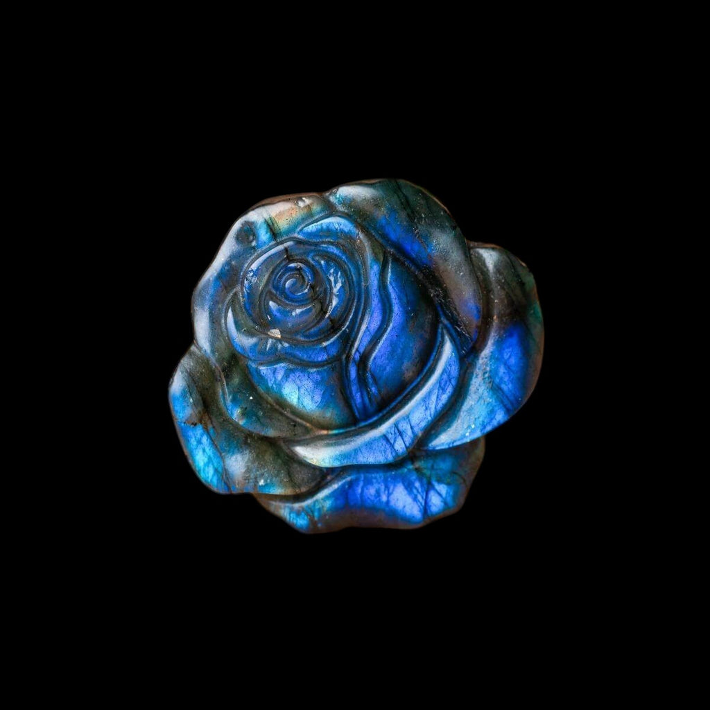 Beautifully Unique - Blossoming Rose of Singularity by Conscious Items