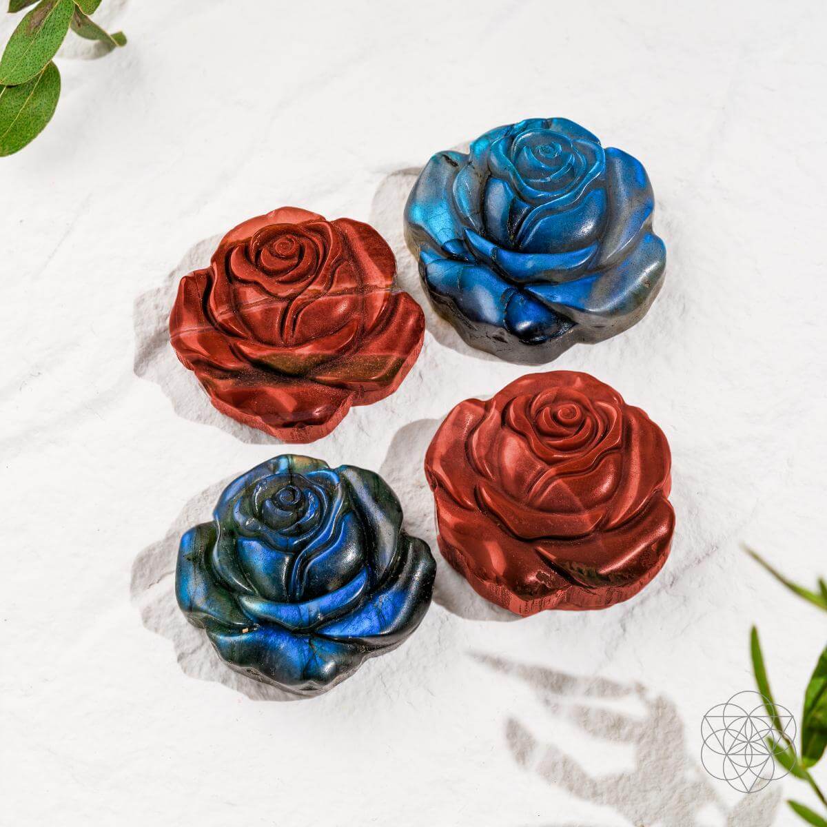 Beautifully Unique - Blossoming Rose of Singularity by Conscious Items