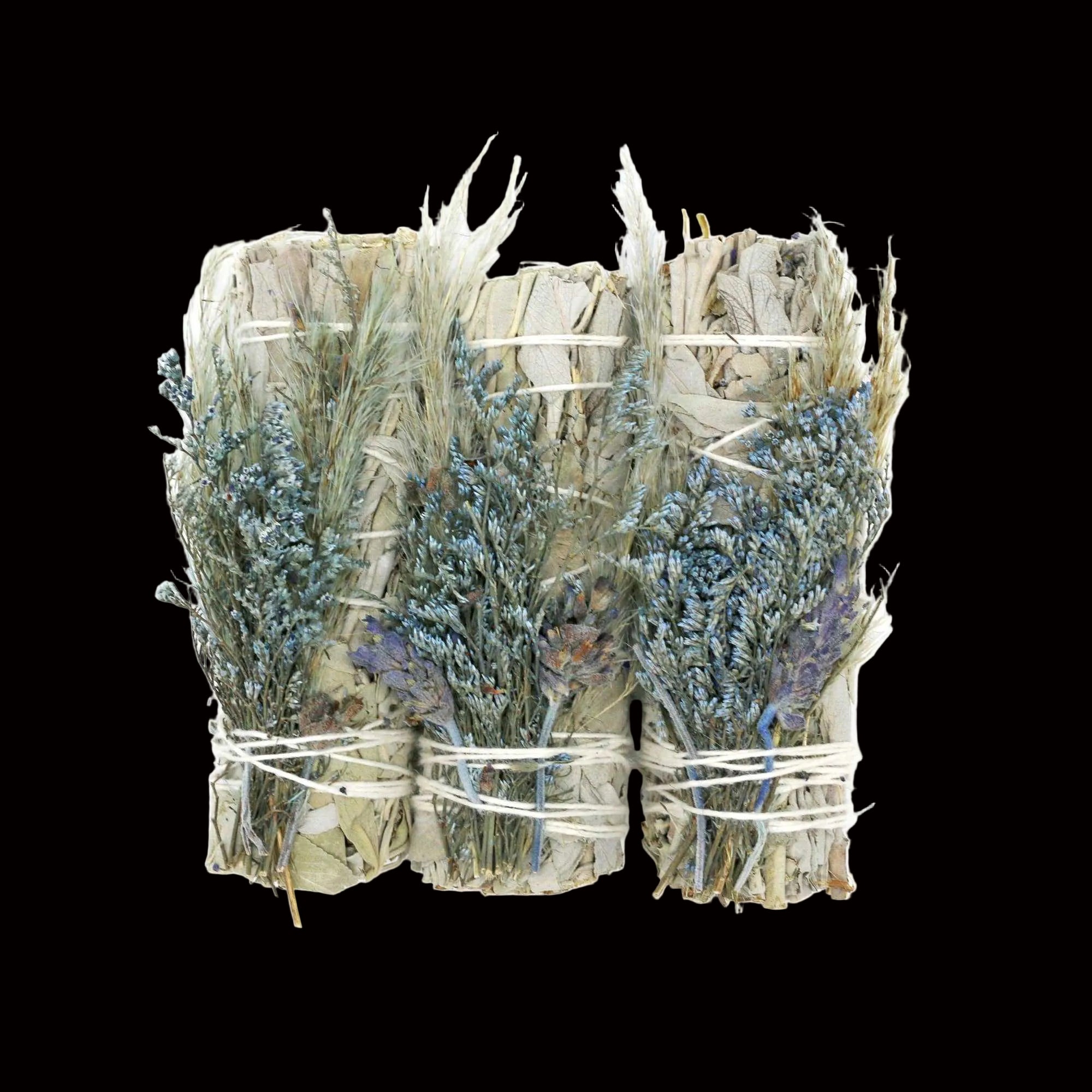 Bouquet of dried herbs tied with twine on a white background