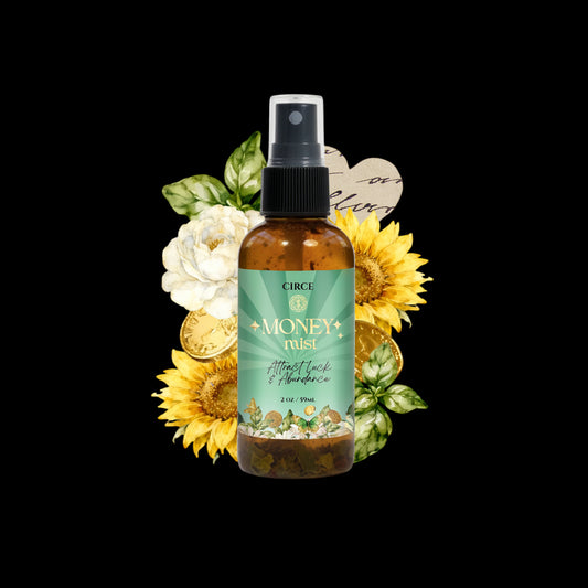 Money Mist – 2 oz Abundance & Prosperity Spray | Bay Leaf & Cinnamon by Circe Boutique