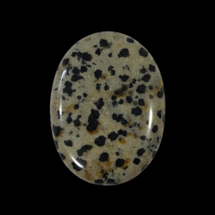Dalmatian Jasper Comfort Stone