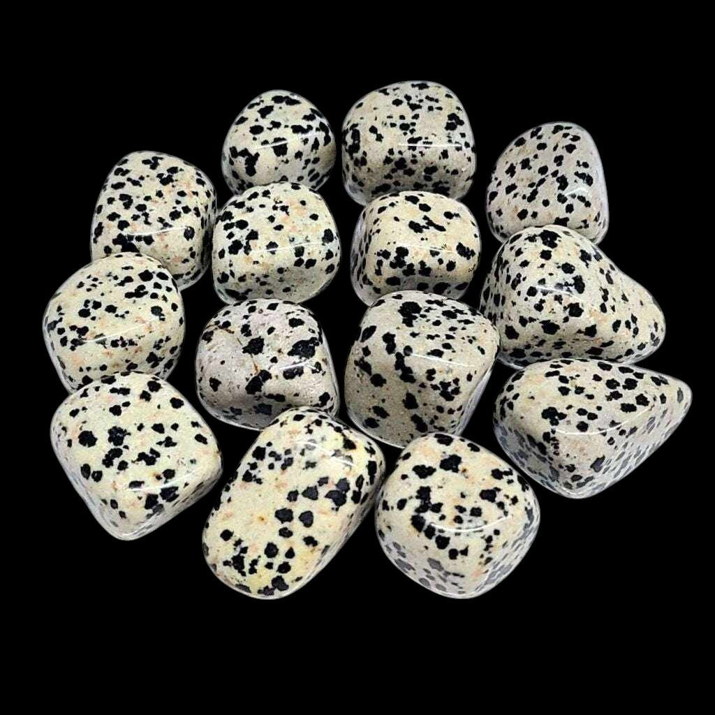 Dalmatian Jasper Tumbled Stone