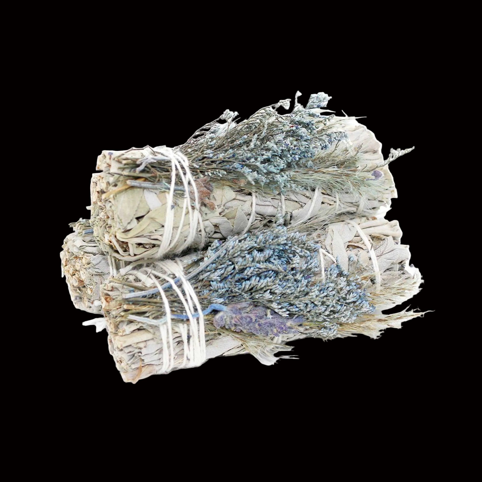 Three bundles of sage and lavender tied together on a white background