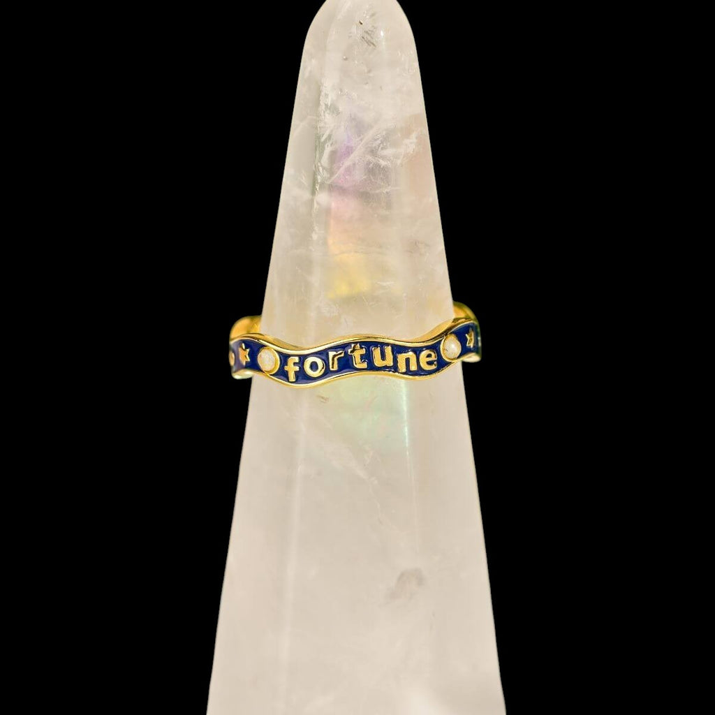 Fortune Magnet - Aquamarine Ring of Prosperity by Conscious Items