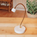 Sidewinder Flash Cure Lamp V3 by Painted Desert