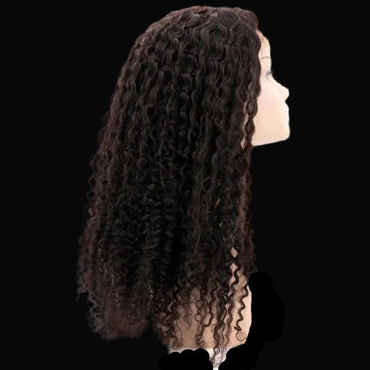 Kinky Curly 4x4 Transparent Lace 100% Human Hair Closure Wig by Private Label