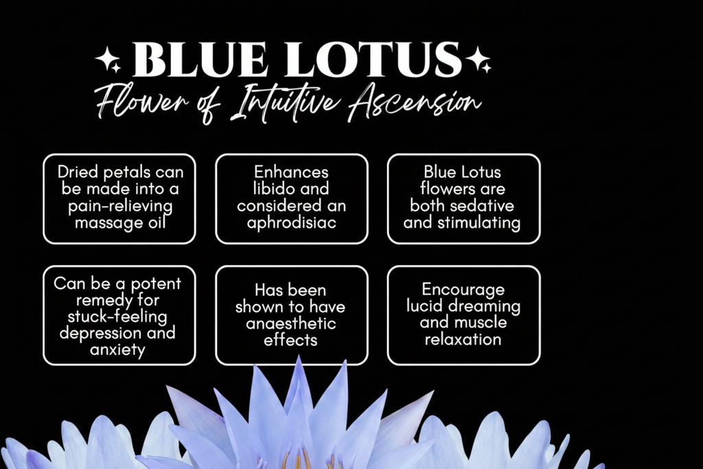 Blue Lotus Ritual Body Oil - Hair, Face, Nail and Body Oil by Circe Boutique