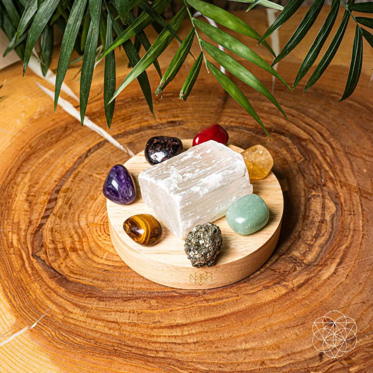 Money-Magnet Lamp by Conscious Items