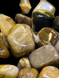 Petrified Wood Tumbled Stone