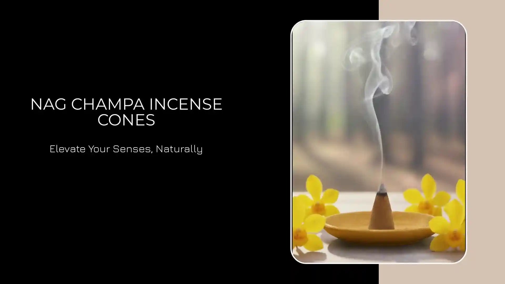 Nag Champa Incense Cones by@Outfy