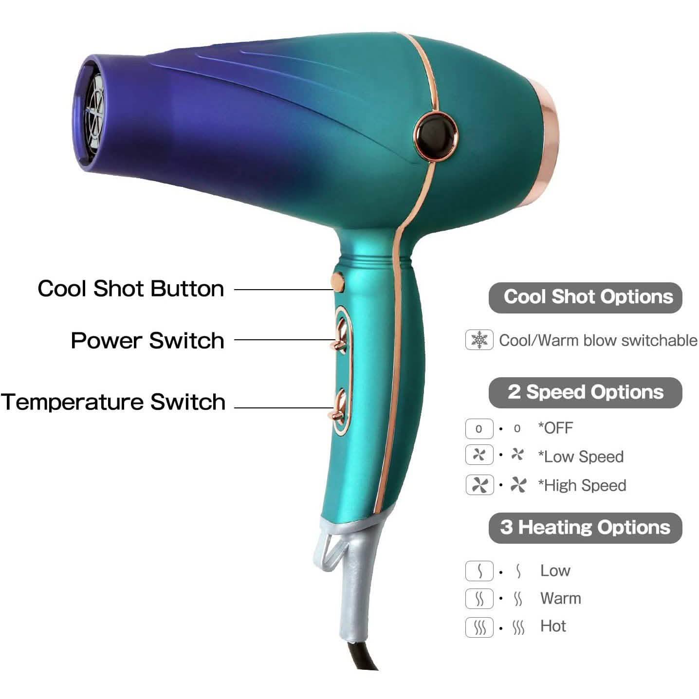 Professional Salon Hair Dryer 2300W by DailySale
