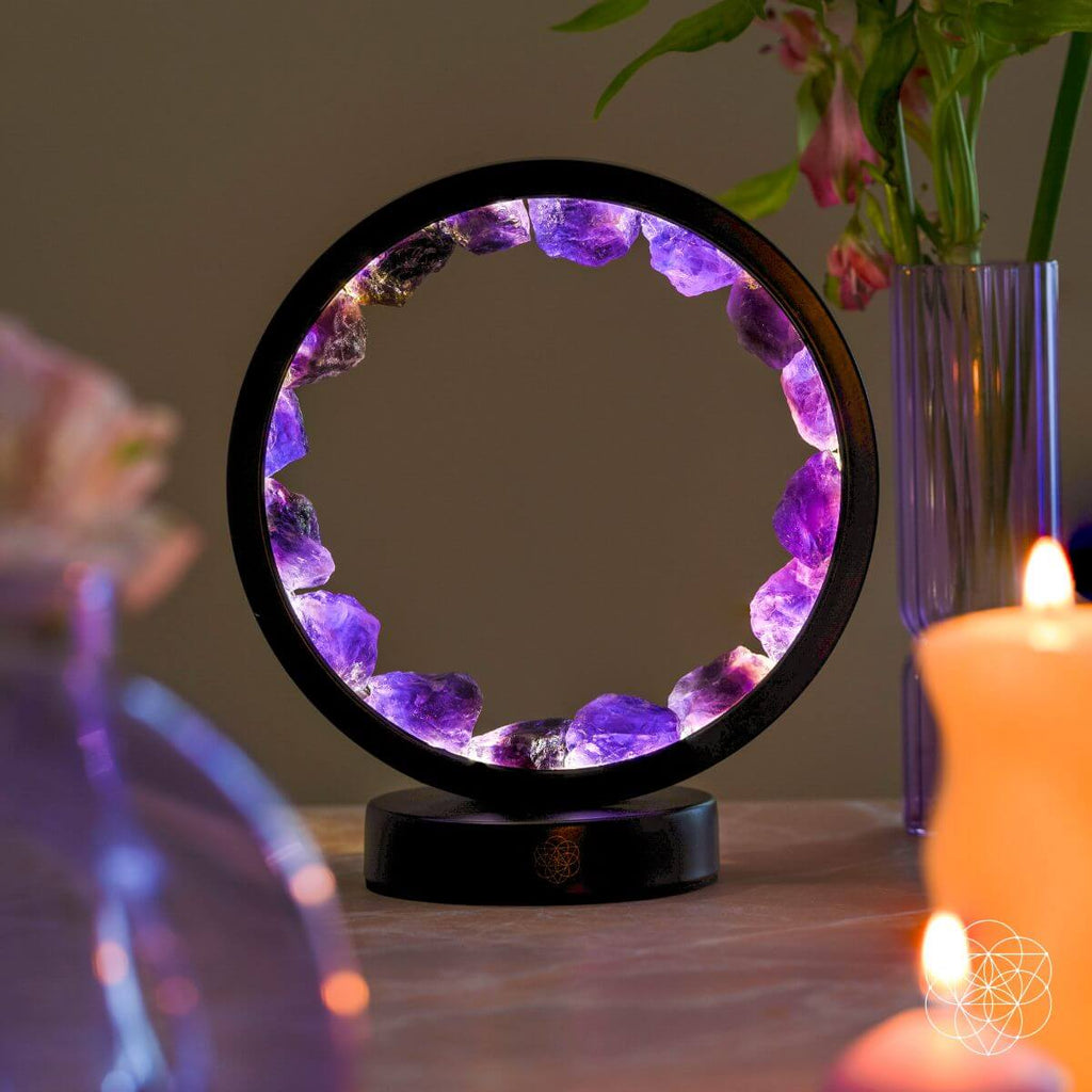 Protective Bundle (Best Sellers) by Conscious Items