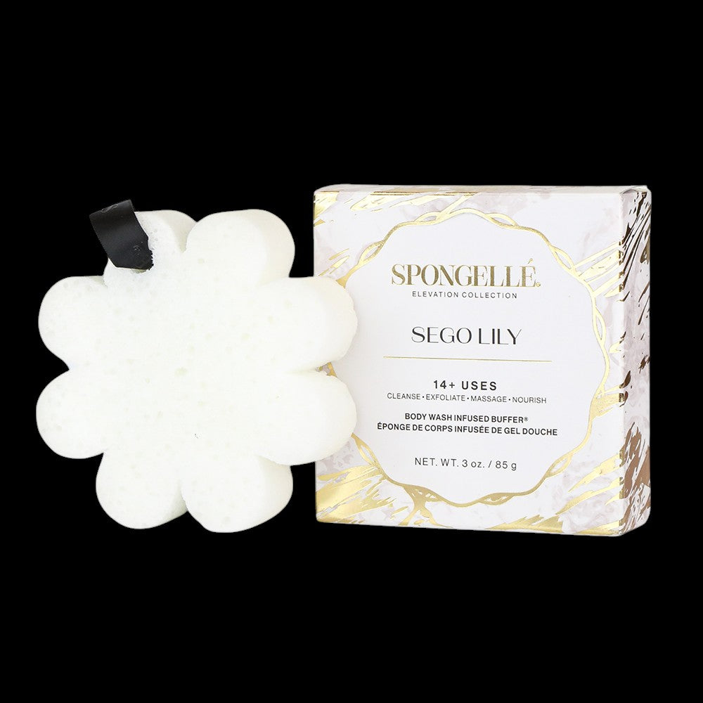 Sego Lily | Elevation Boxed Flower by Spongellé