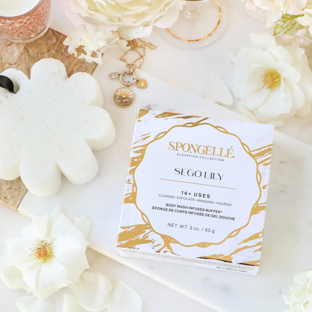 Sego Lily | Elevation Boxed Flower by Spongellé