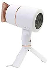 Stand-up Hair Dryer by DailySale
