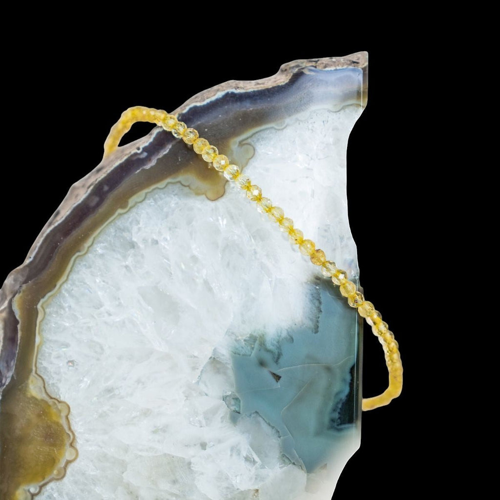 The Abundance Anklet by Conscious Items