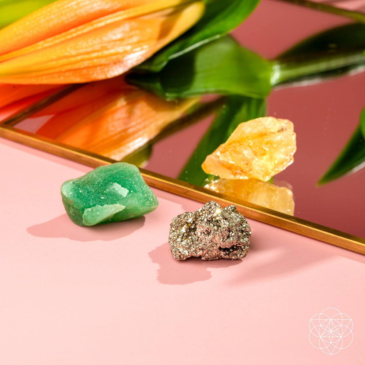 The Abundance Trio by Conscious Items