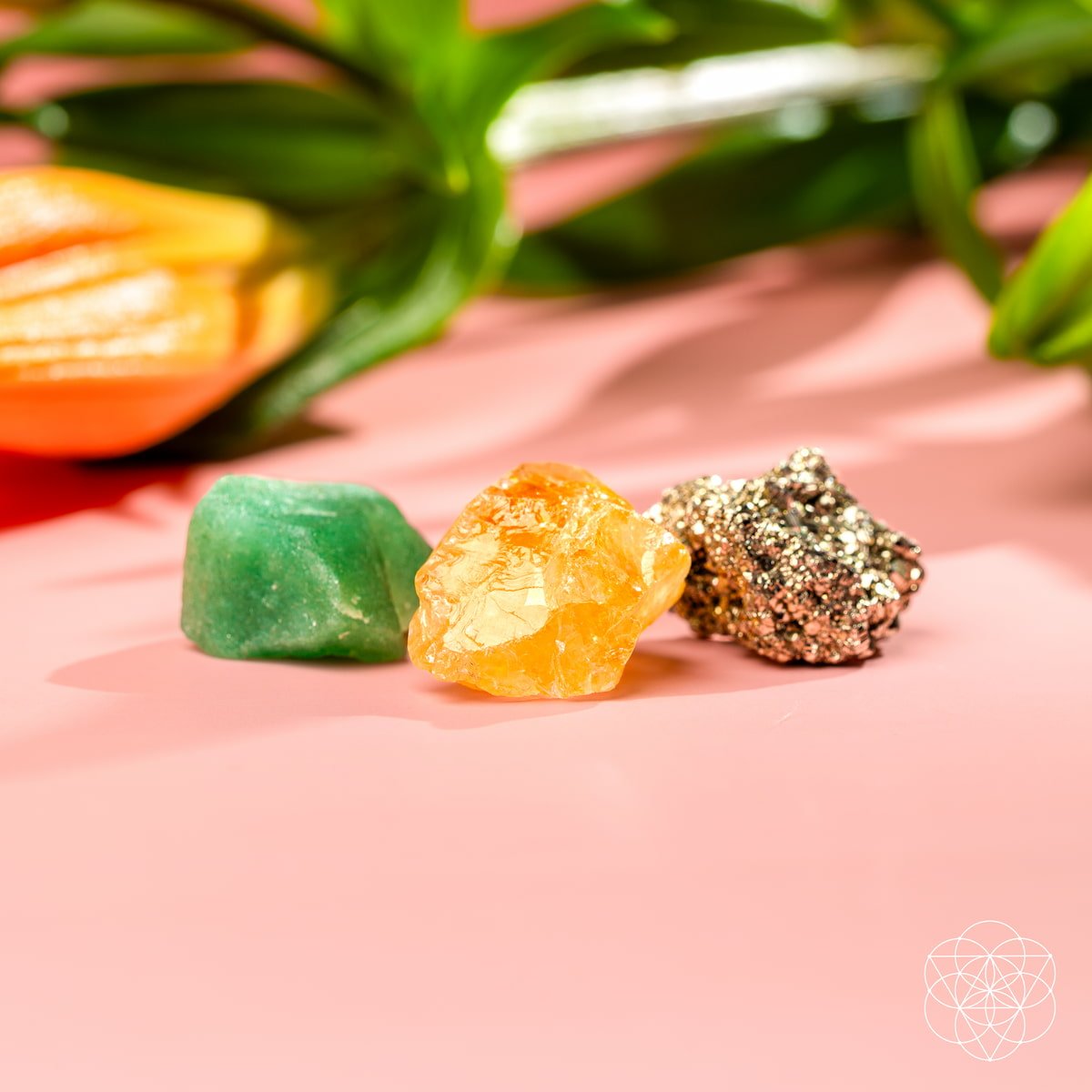 The Abundance Trio by Conscious Items