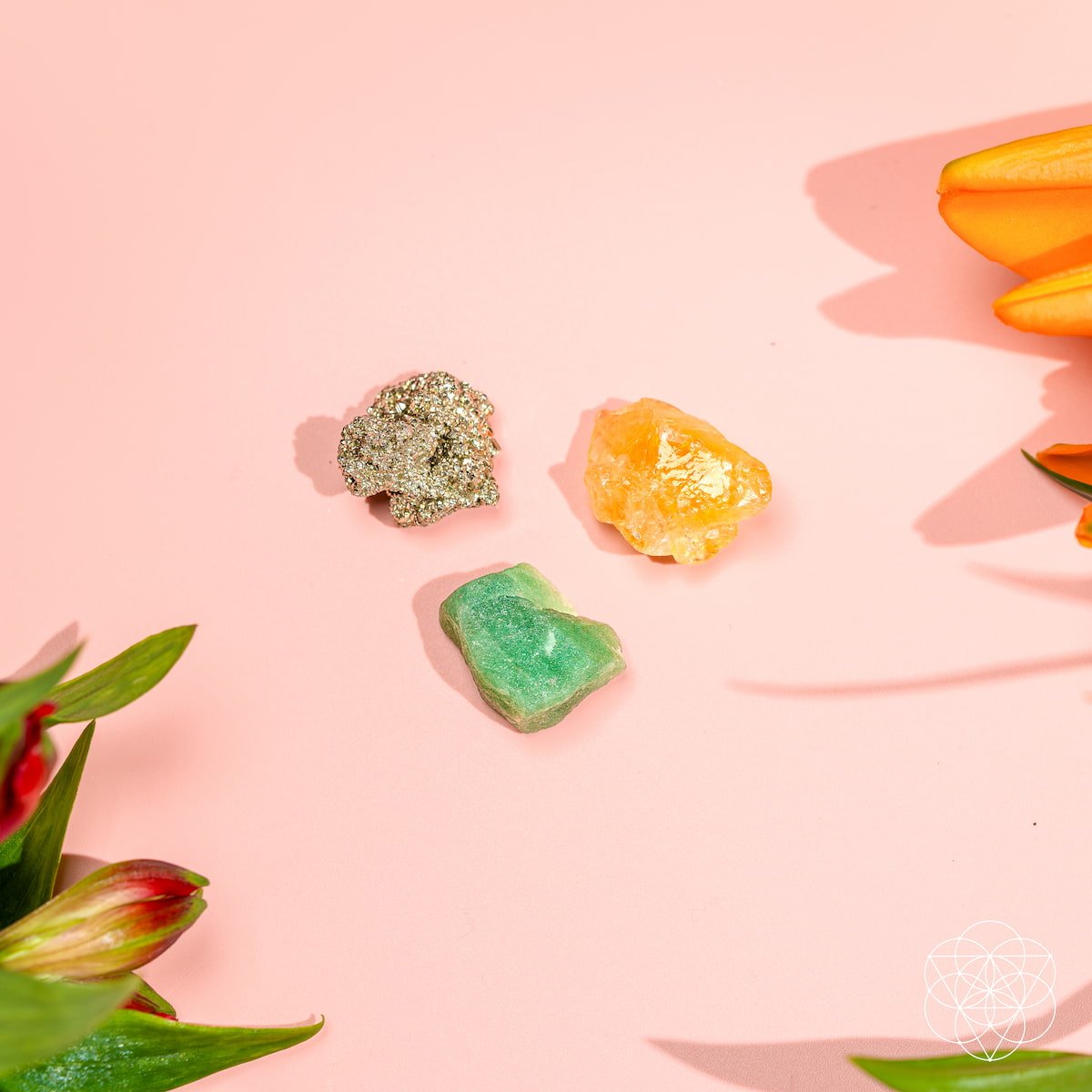 The Abundance Trio by Conscious Items