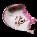 The Emotional Release Ring by Conscious Items