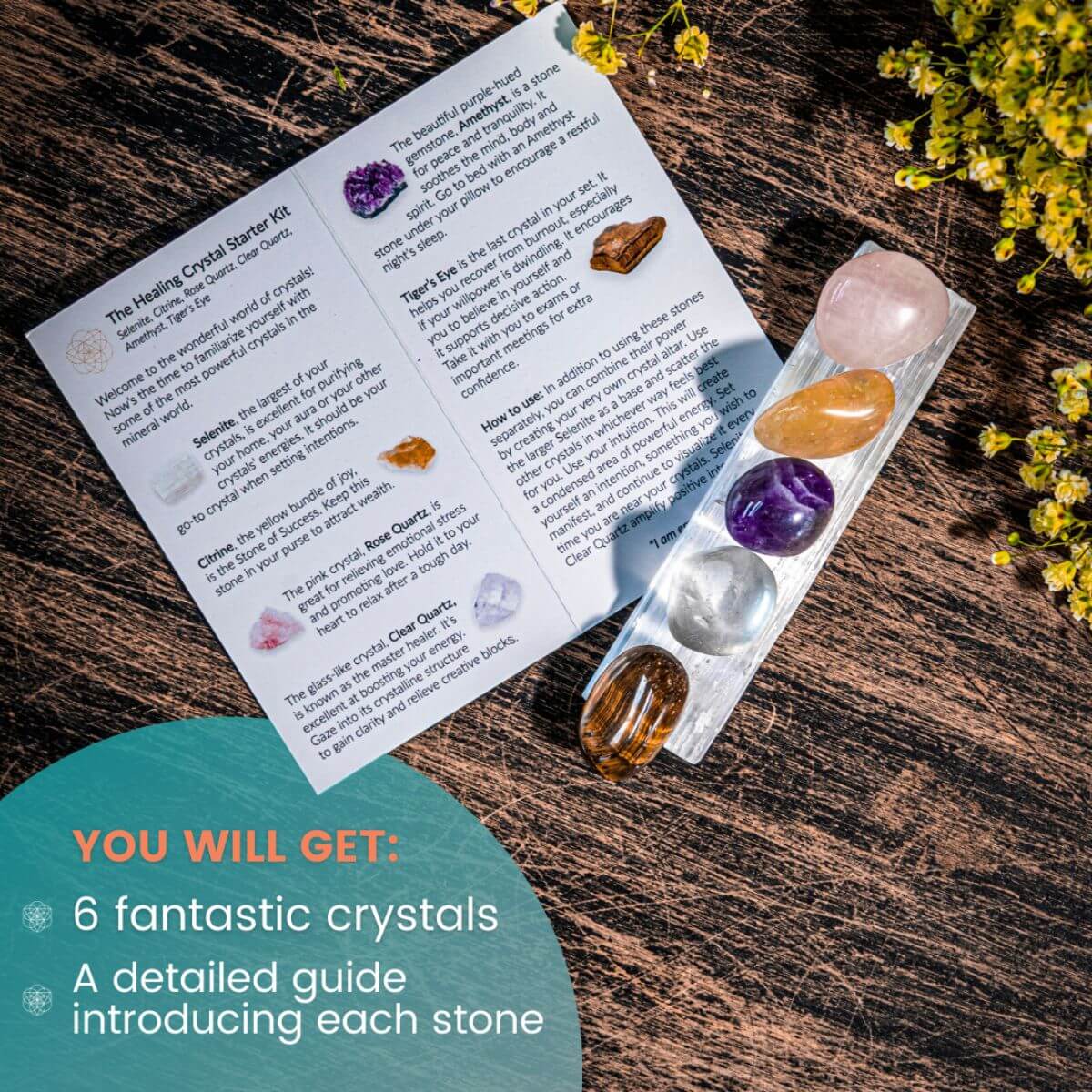 The Healing Crystal Starter Kit by Conscious Items