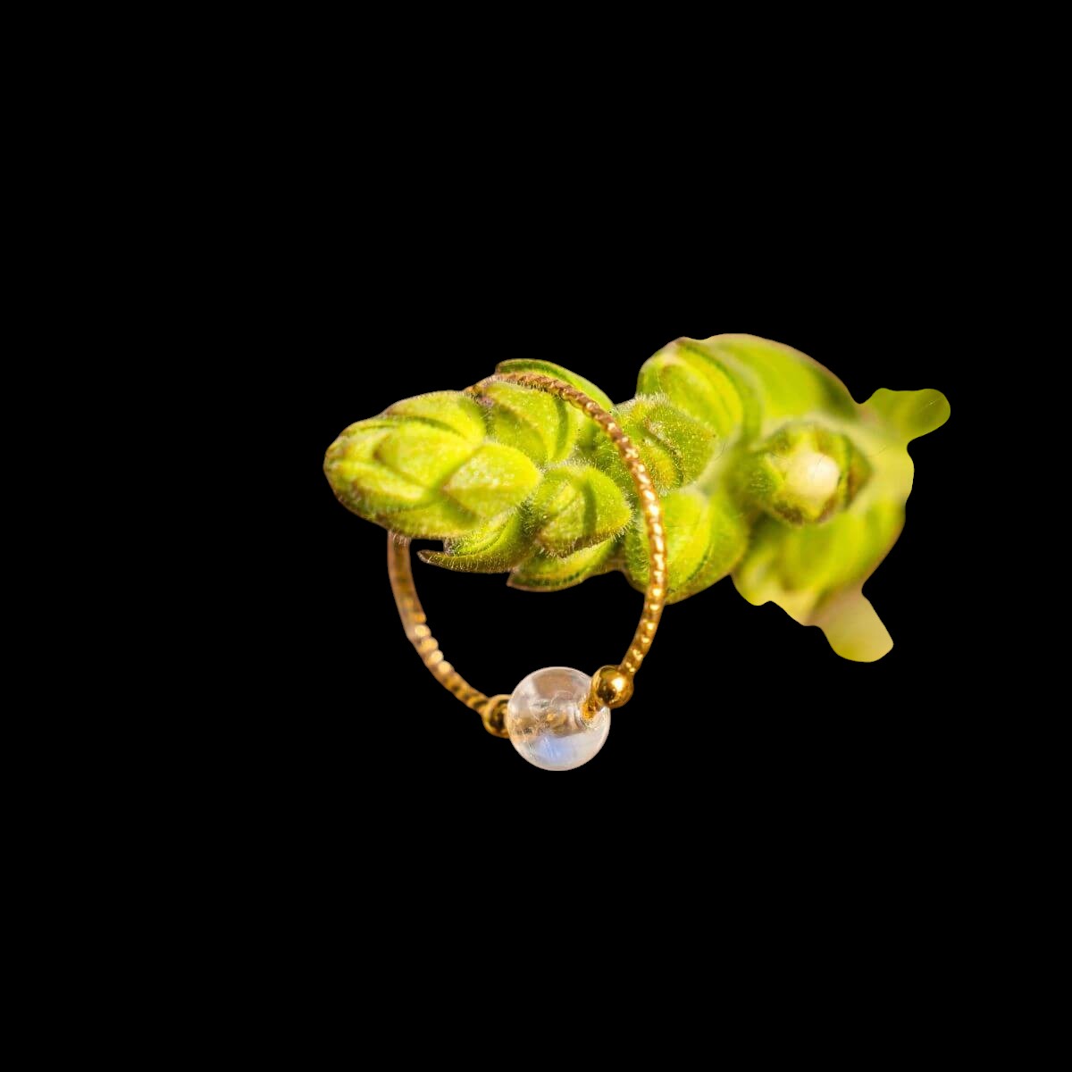 The Lunar Ring of Power by Conscious Items