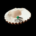 The Ring of Abundance by Conscious Items