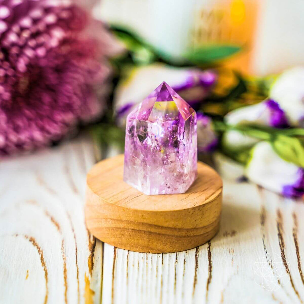 The Serenity Lamp by Conscious Items