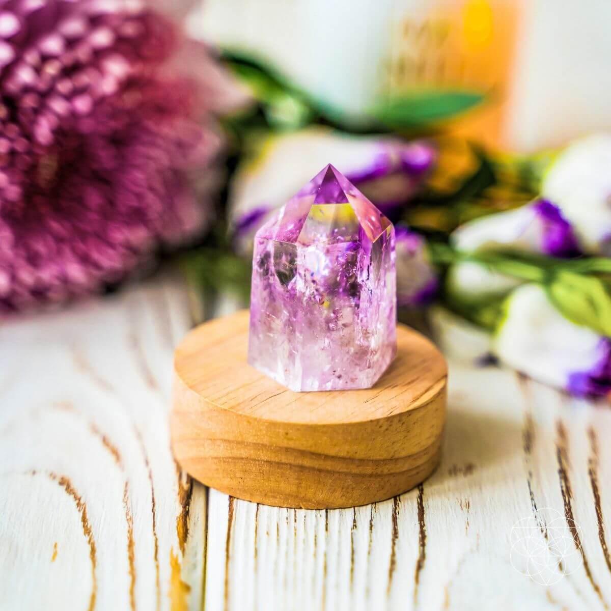 The Serenity Lamp by Conscious Items