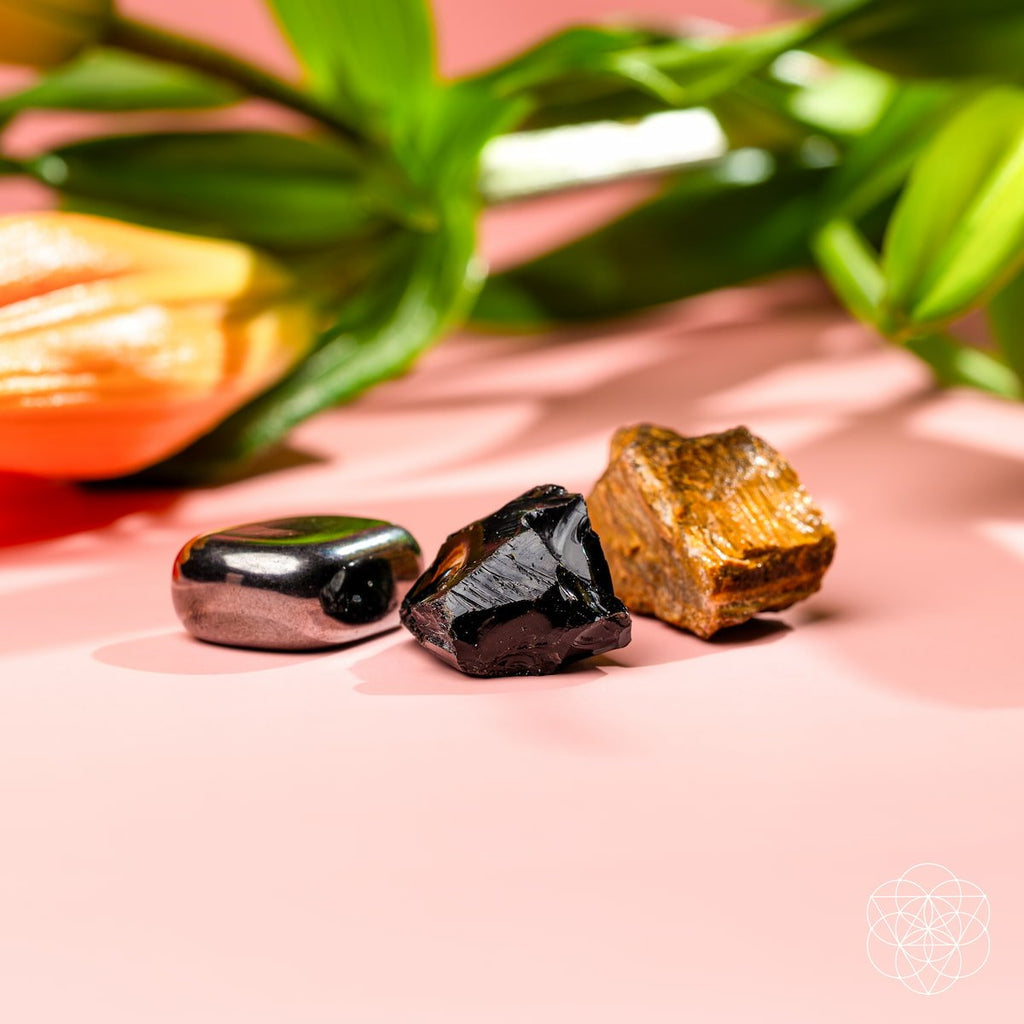 The Triple Protection Trio by Conscious Items