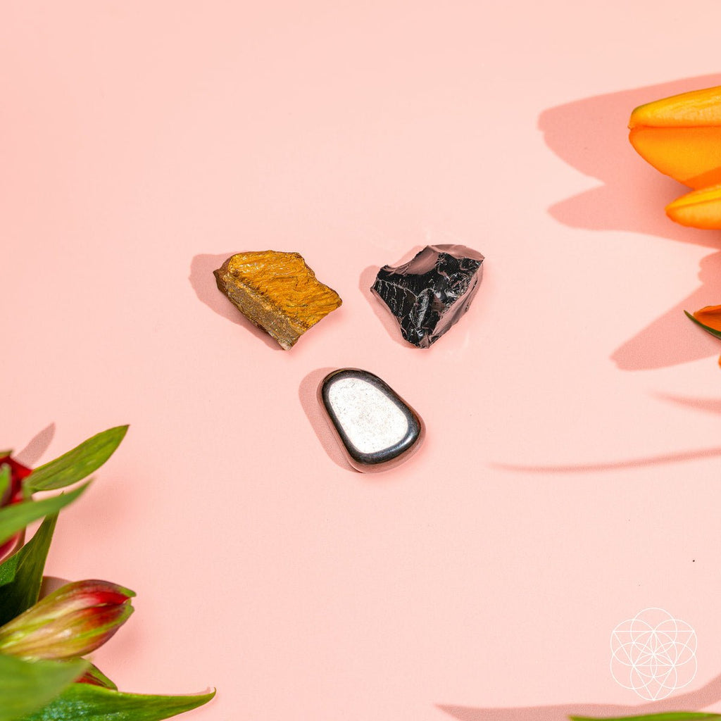 The Triple Protection Trio by Conscious Items