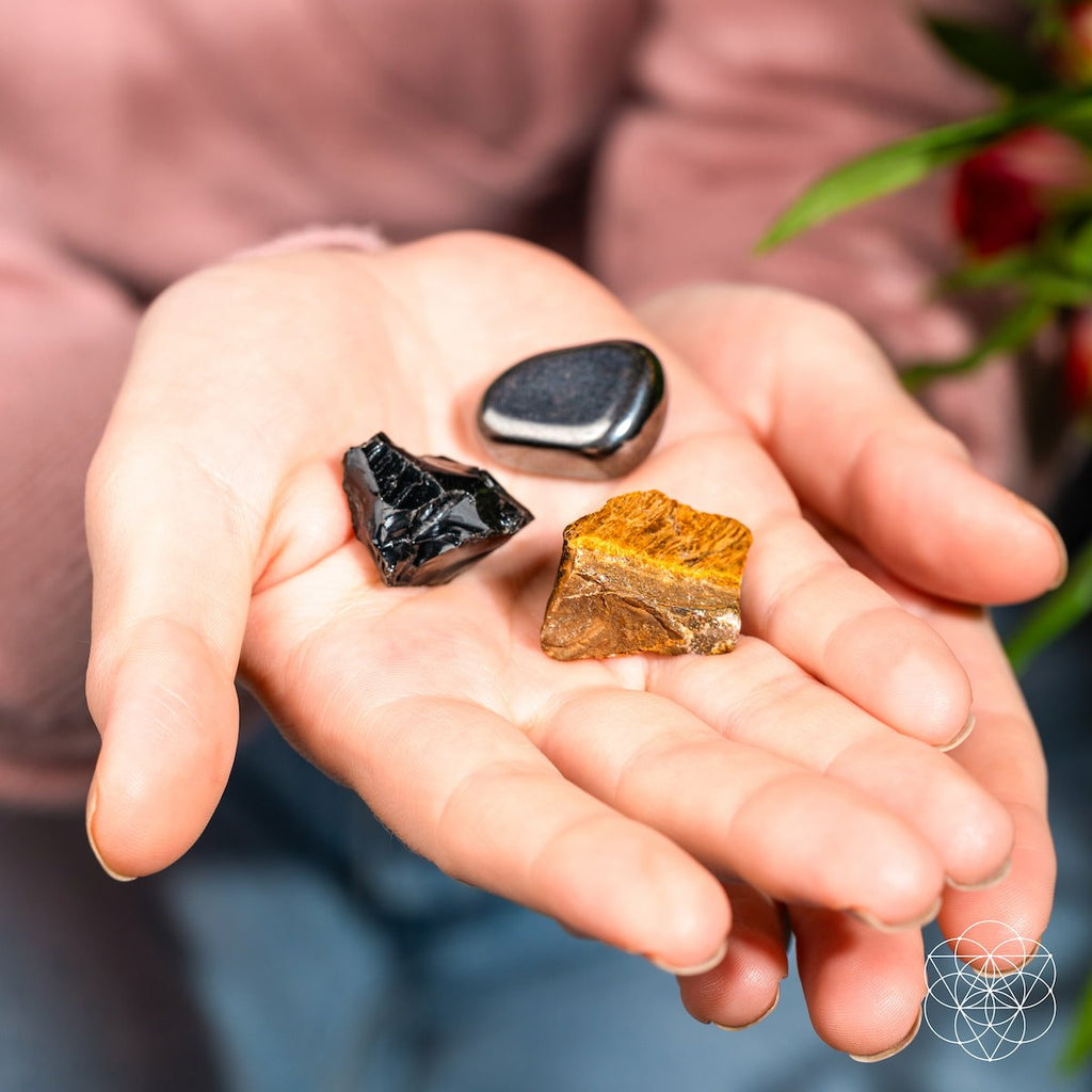 The Triple Protection Trio by Conscious Items