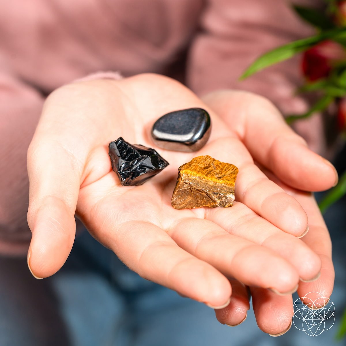 The Triple Protection Trio by Conscious Items