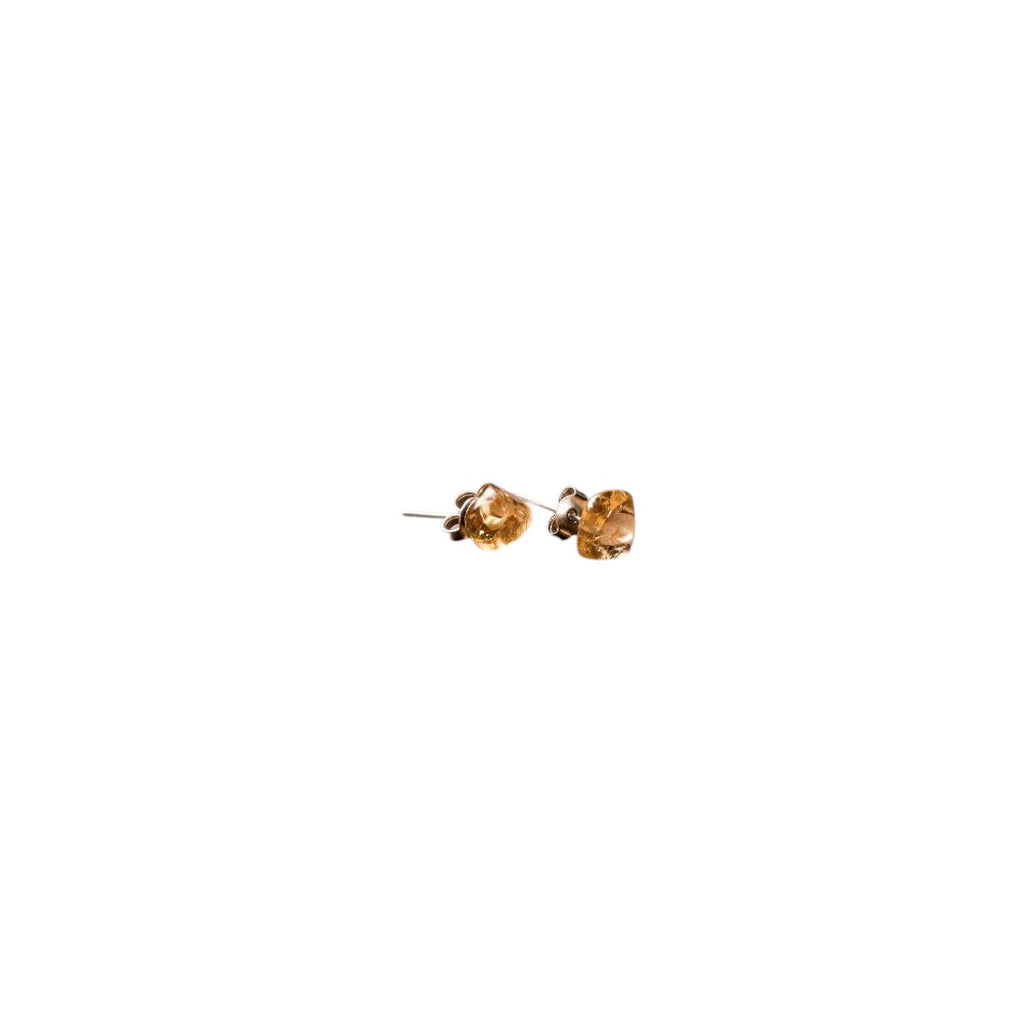 Wealth and Abundance Earring Set by Conscious Items
