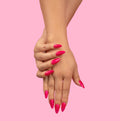 Barbieland by Madam Glam
